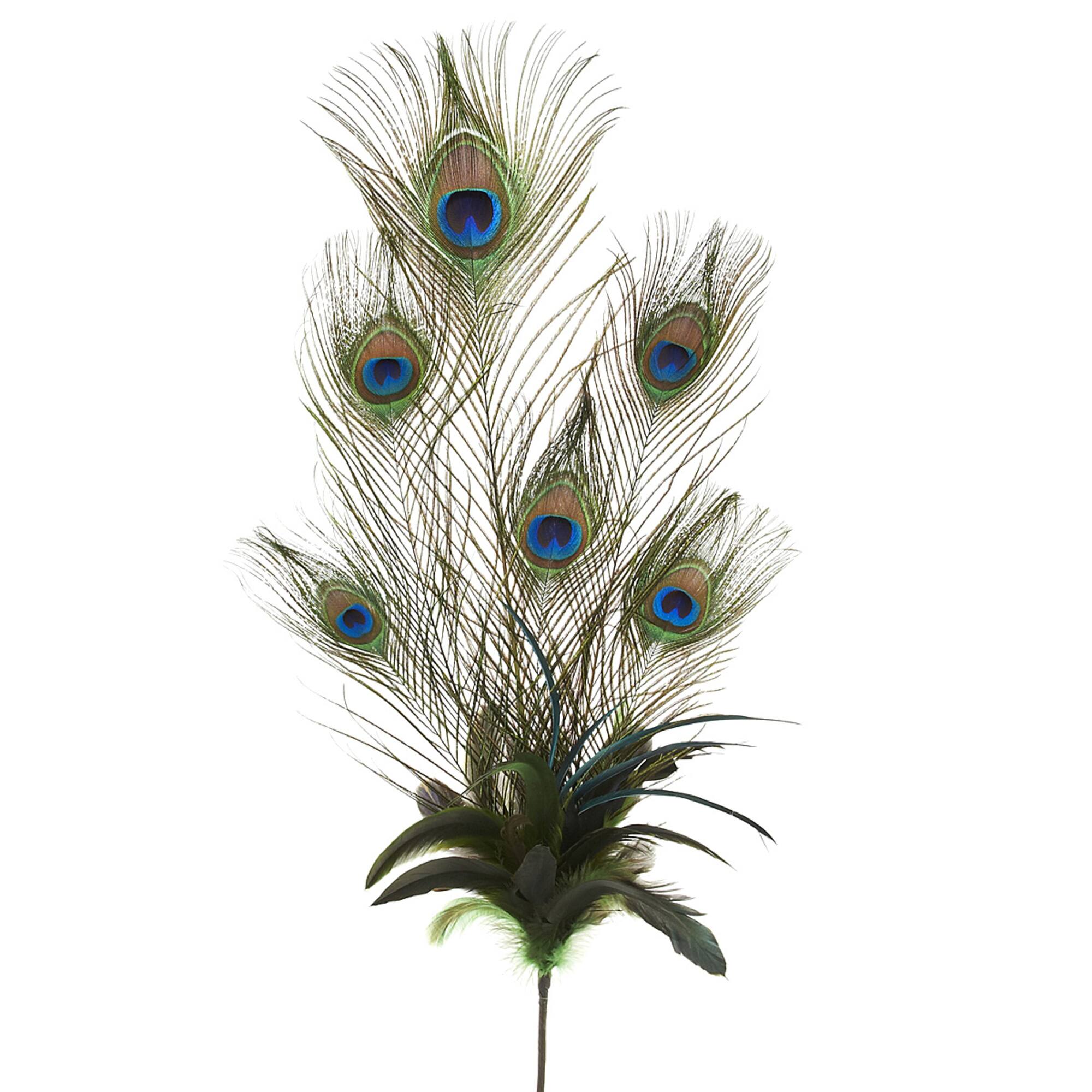 35" Peacock Feather Pick by Ashland®